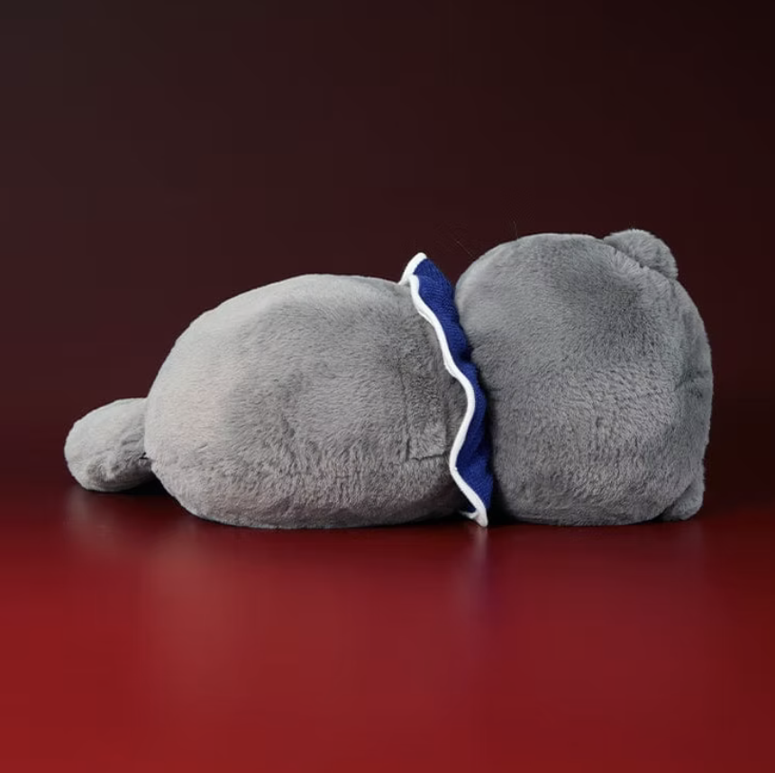 G dragon愛貓｜韓國 ZO&FRIENDS ZOA 軟綿 中型 貓貓公仔｜ ZOAFUL Medium Plush