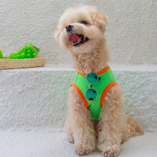 *Super Pet🇰🇷狗狗涼感背心(DG416) 尺碼S-6XL