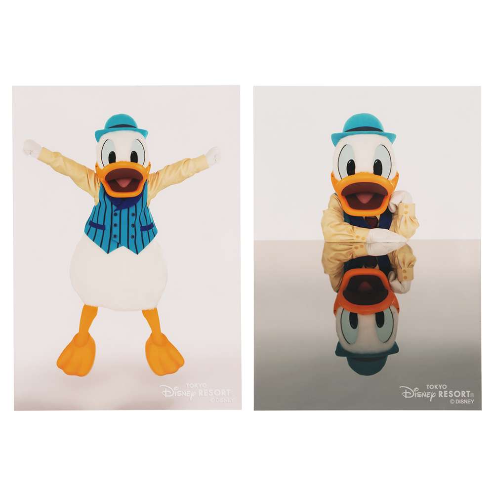 【預訂】TDR Donald 相片 6p