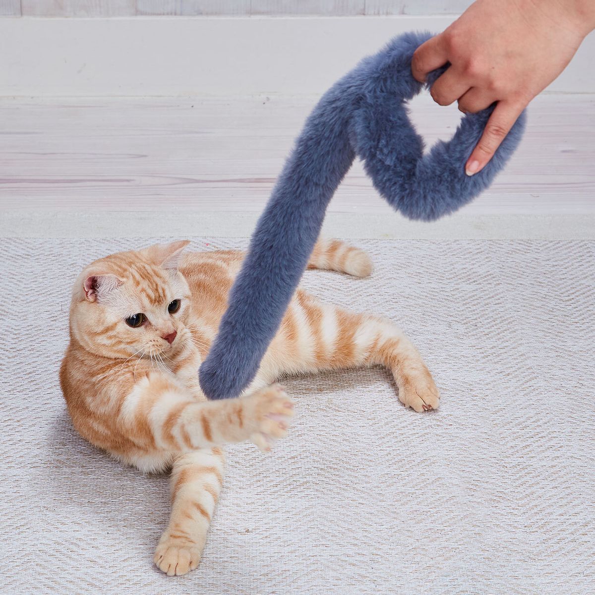逗貓神器：柔軟仿真尾巴互動玩具，激發貓咪狩獵天性