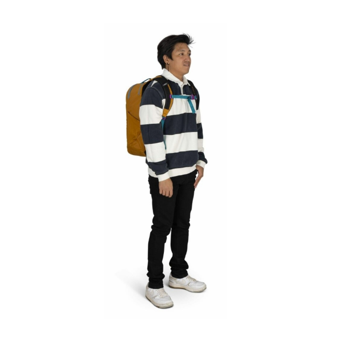 Osprey Proxima 30 日常背包