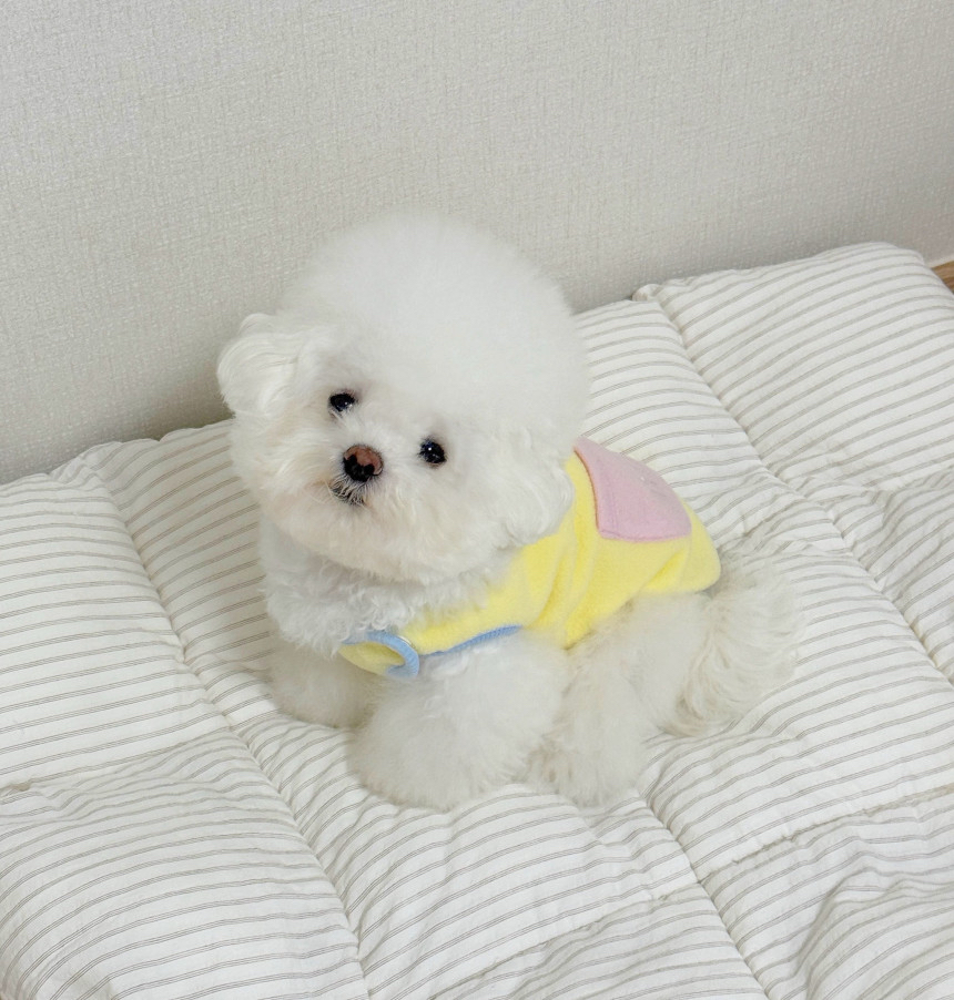 韓國 baby milk 系列衫衫 🫶🏻