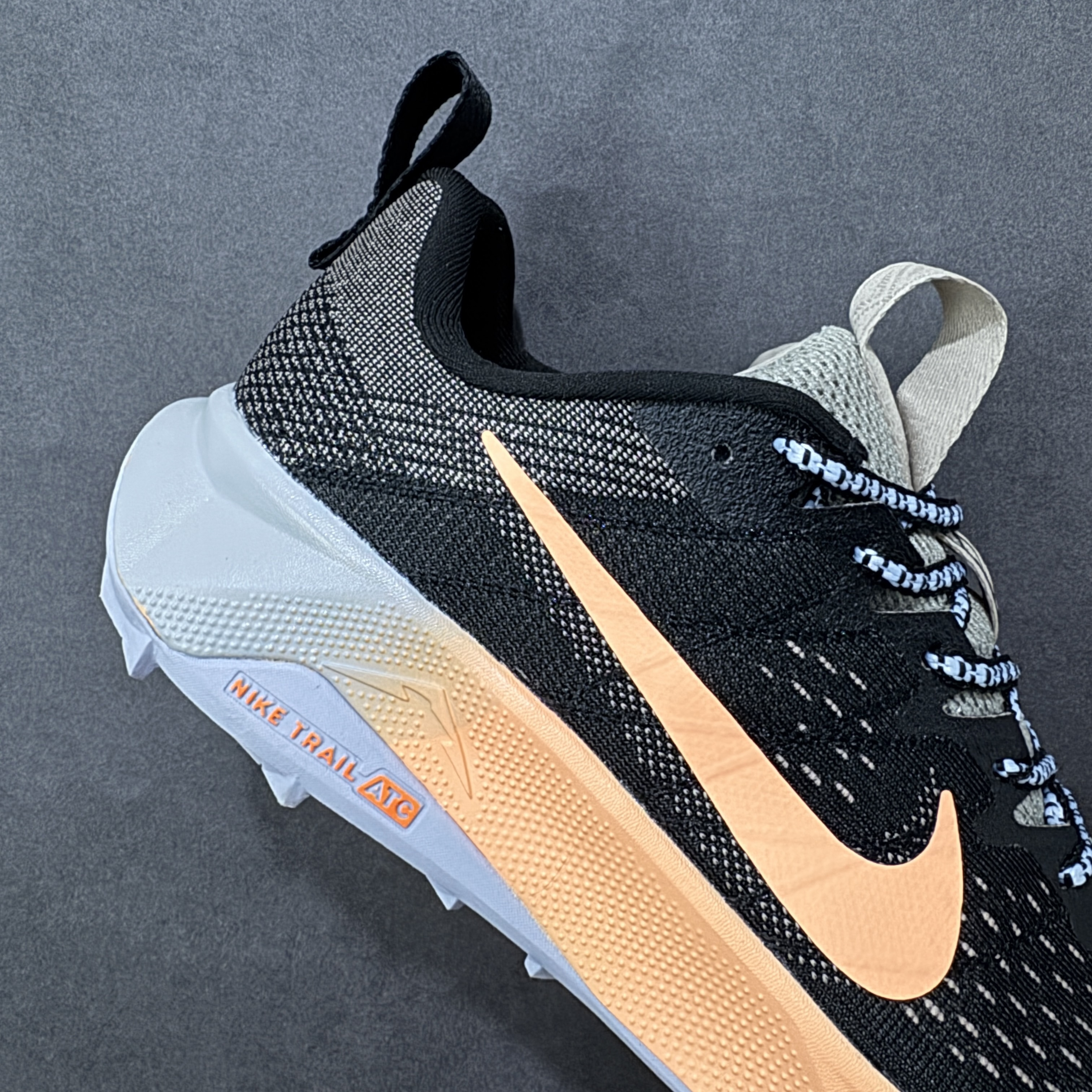 Nike Wildhorse 10 FV2338-006