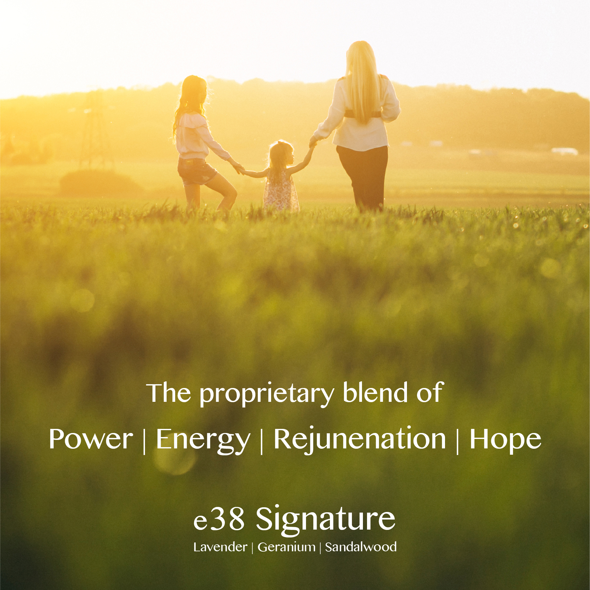 eBlend Signature — Inner Poise (10ml)