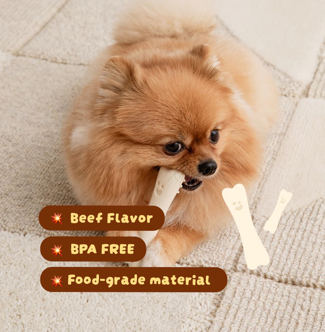 BiteMe🇰🇷Buddy Bone 尼龍潔齒骨玩具