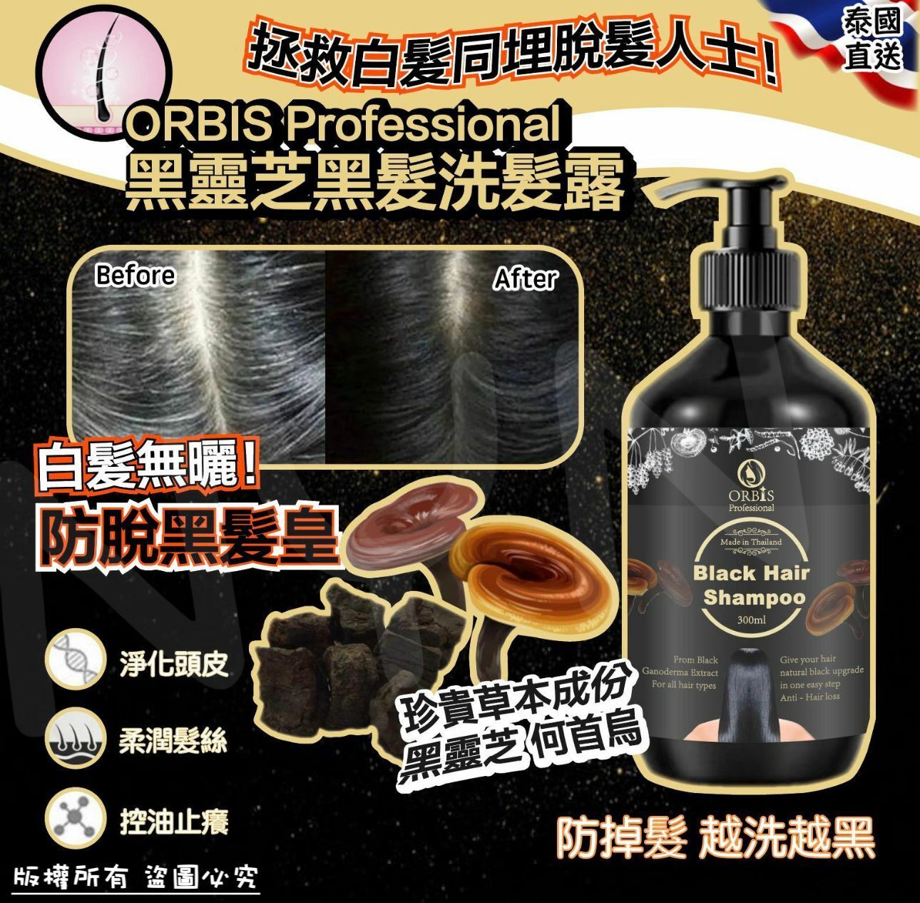 預購 【預訂】泰國 ORBIS Professional 黑靈芝黑髮洗髮露 300ml
