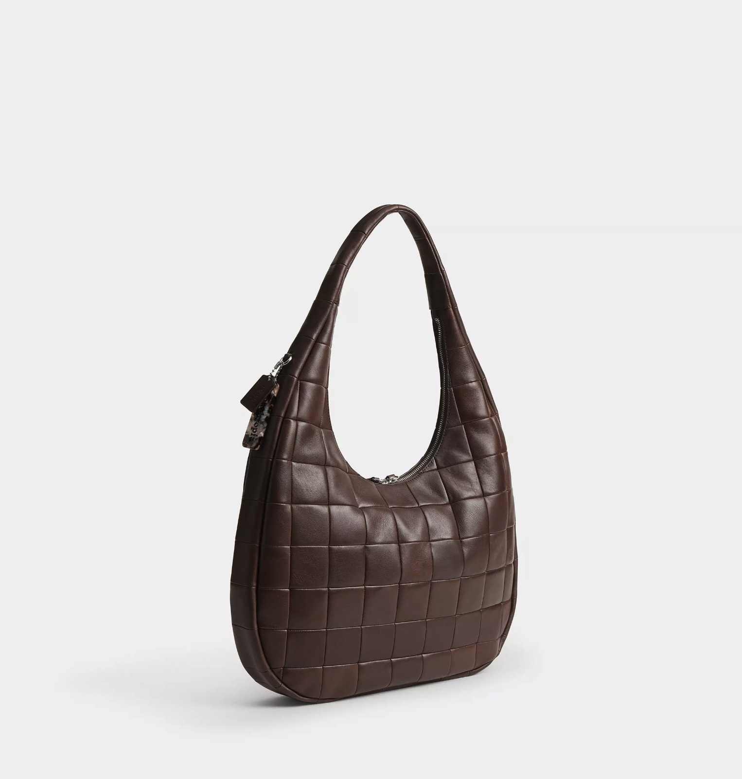 COACH Alter/Ego Crescent Shoulder Bag