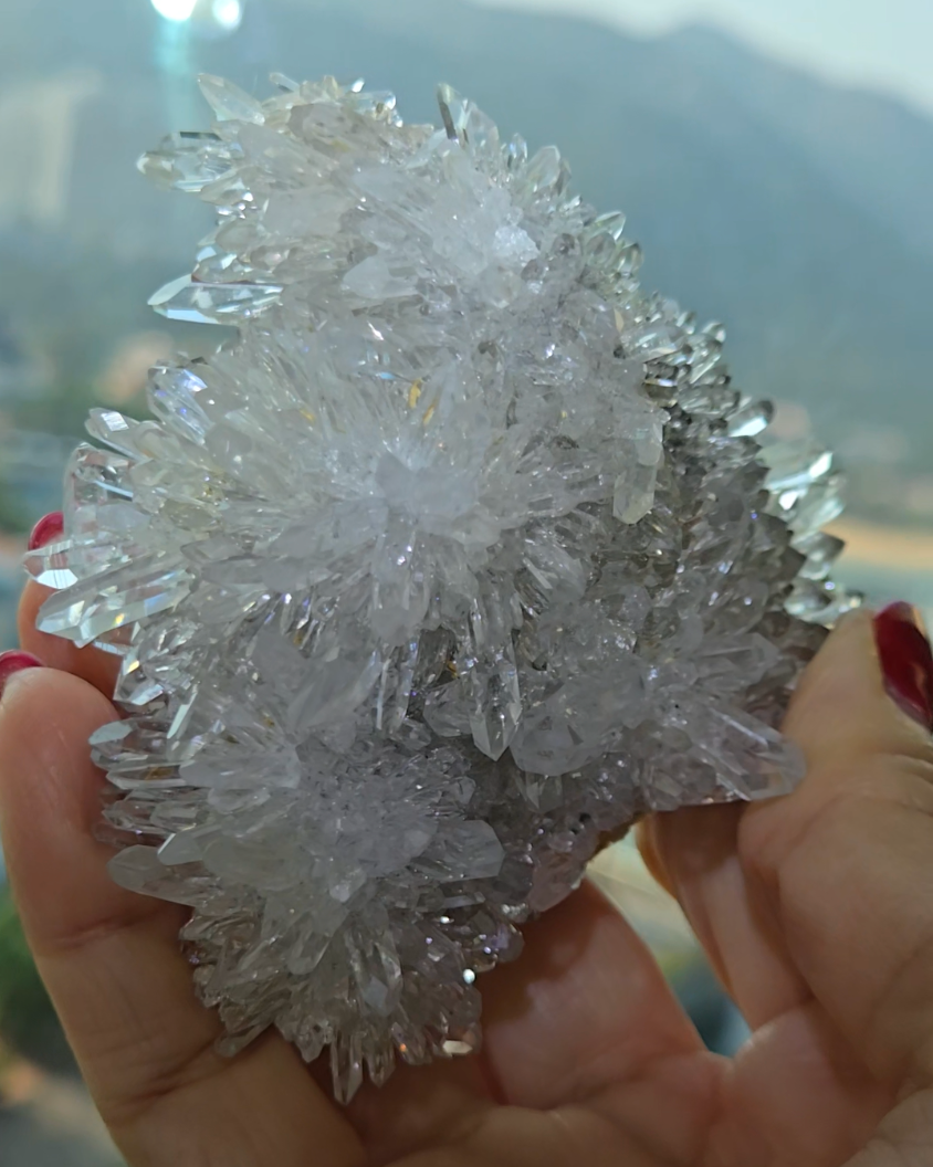 Chrysanthemum needle quartz with flower buds - CQ477