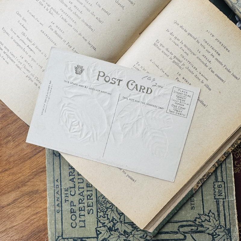 Antique 1911 Embossed Rose Print Birthday Greeting Postcard (MT2305-3)