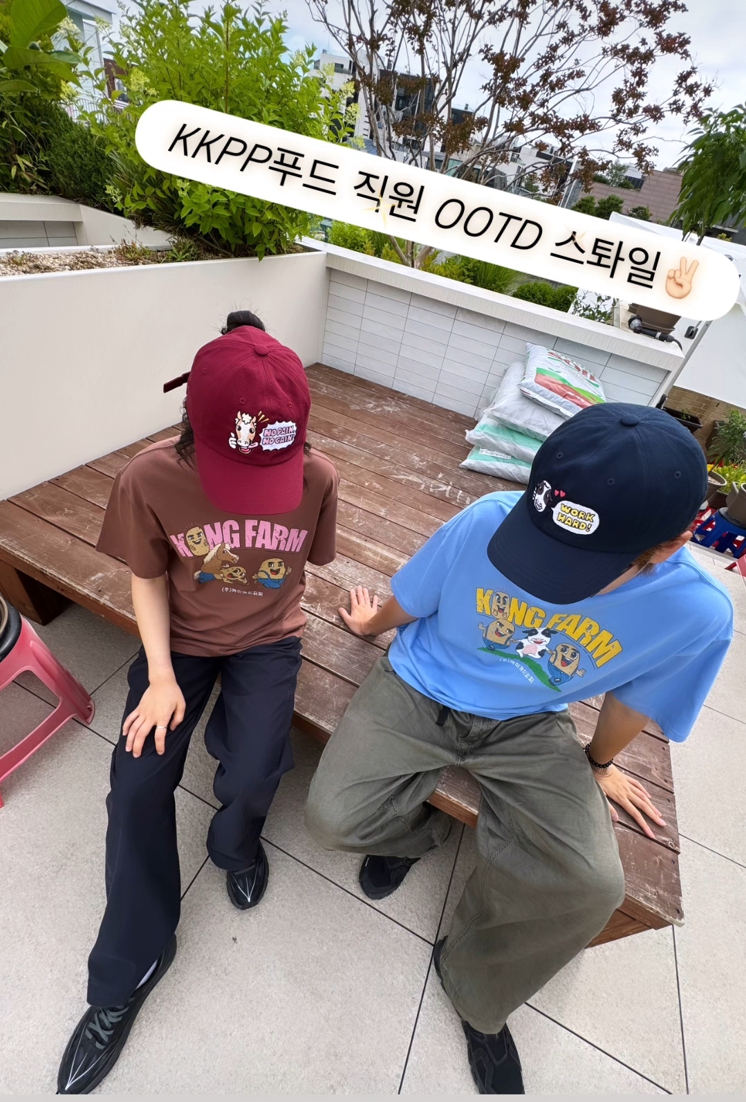 [ 羅PD eggiscoming ] KKPP Food 豆豆農場：動物農場 官方周邊 GBRB: Go Go Farm