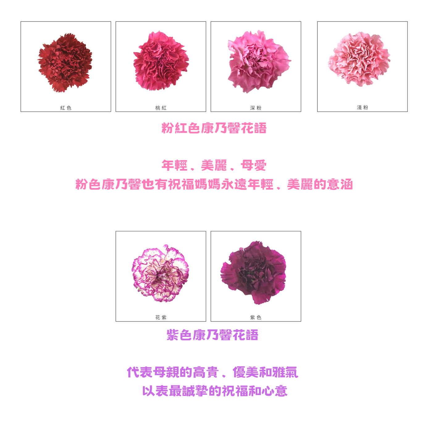 A picture containing text, flower, screenshot, pink

Description automatically generated