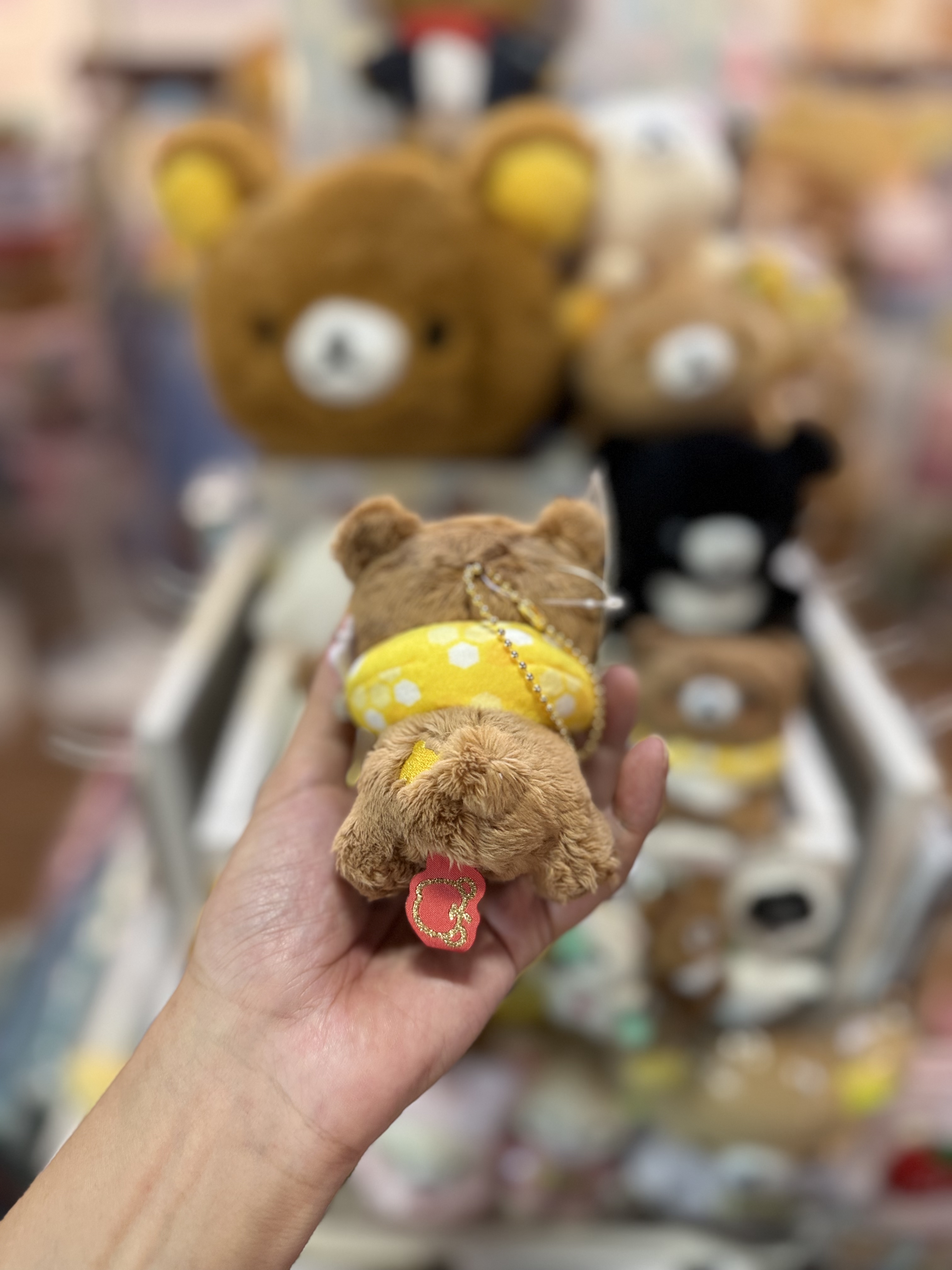 《現貨》全新日本小熊10週年紀念巡迴pop up店限定小熊探險隊系列爬爬飾