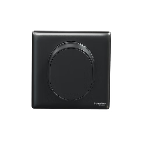 施耐德 Unica X 石墨灰 45A龜背 接線蘇