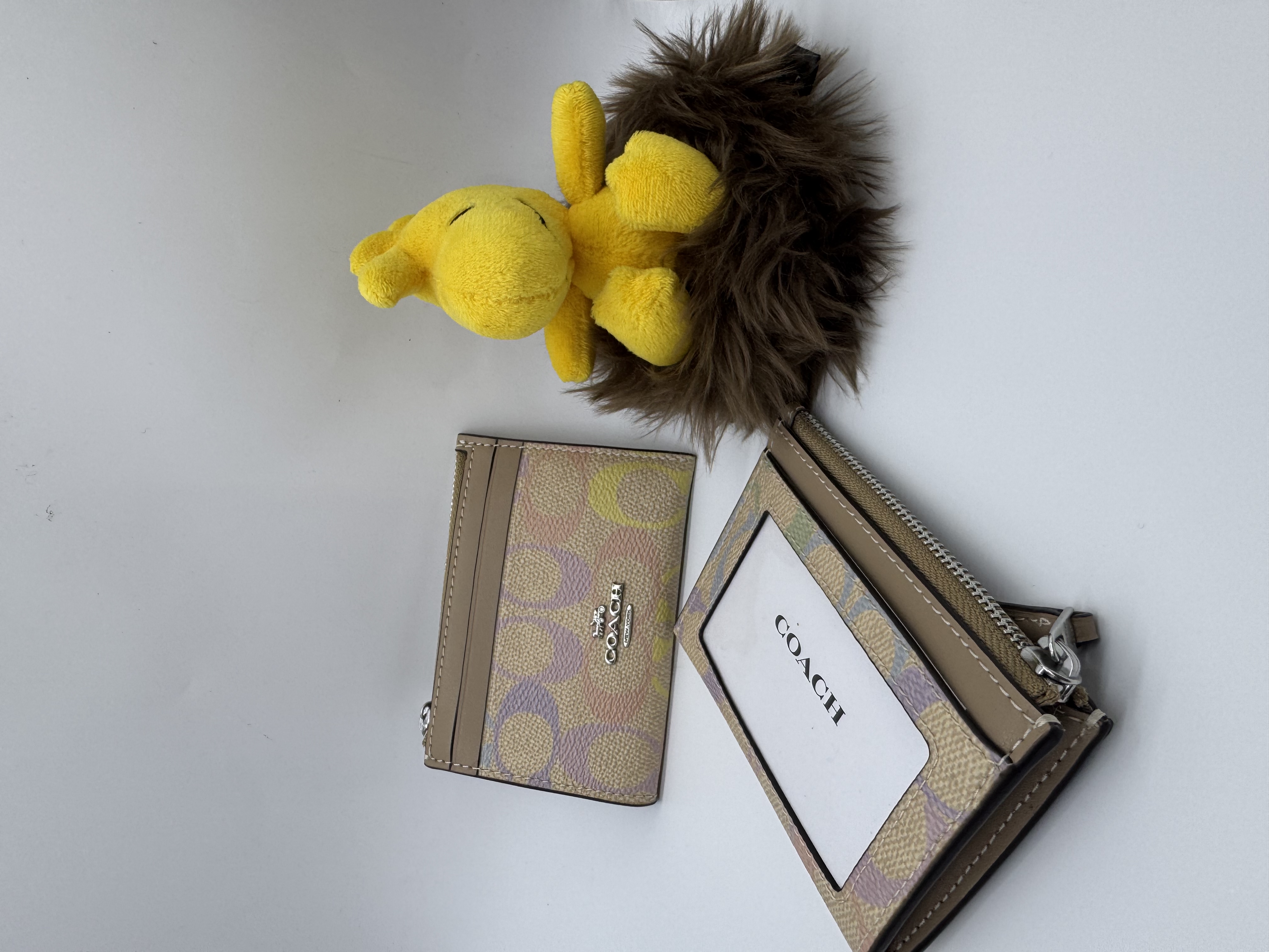 ✈️🇨🇦🇺🇸淡淡嘅彩色Signature C  pattern Coach Outlet 系列：拉鍊卡包💳現貨🌈