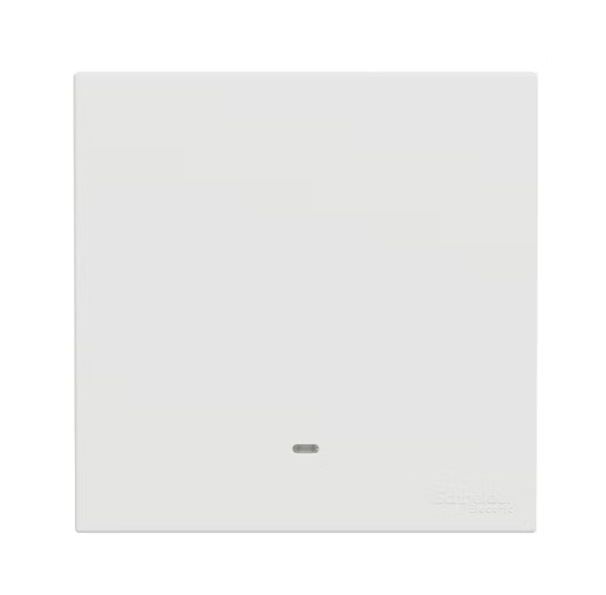 施耐德 奐然AvatarOn C 白 十字掣 開關掣