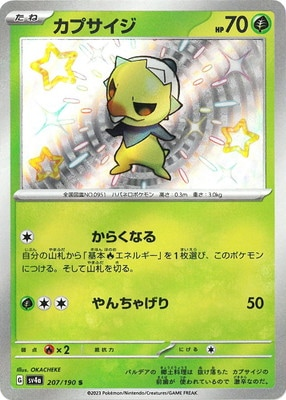 207/190 カプサイジ S 