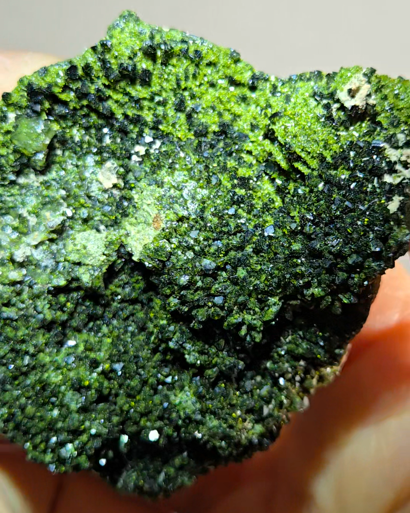 Epidote specimen with quartz inclusions - ED5