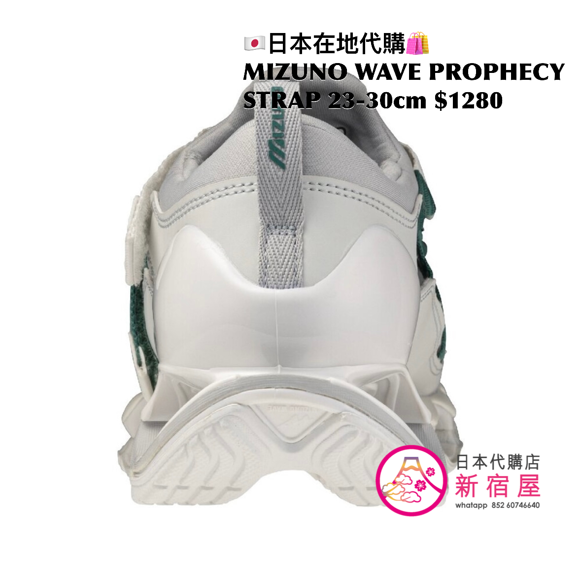 MIZUNO WAVE PROPHECY STRAP 日本限定