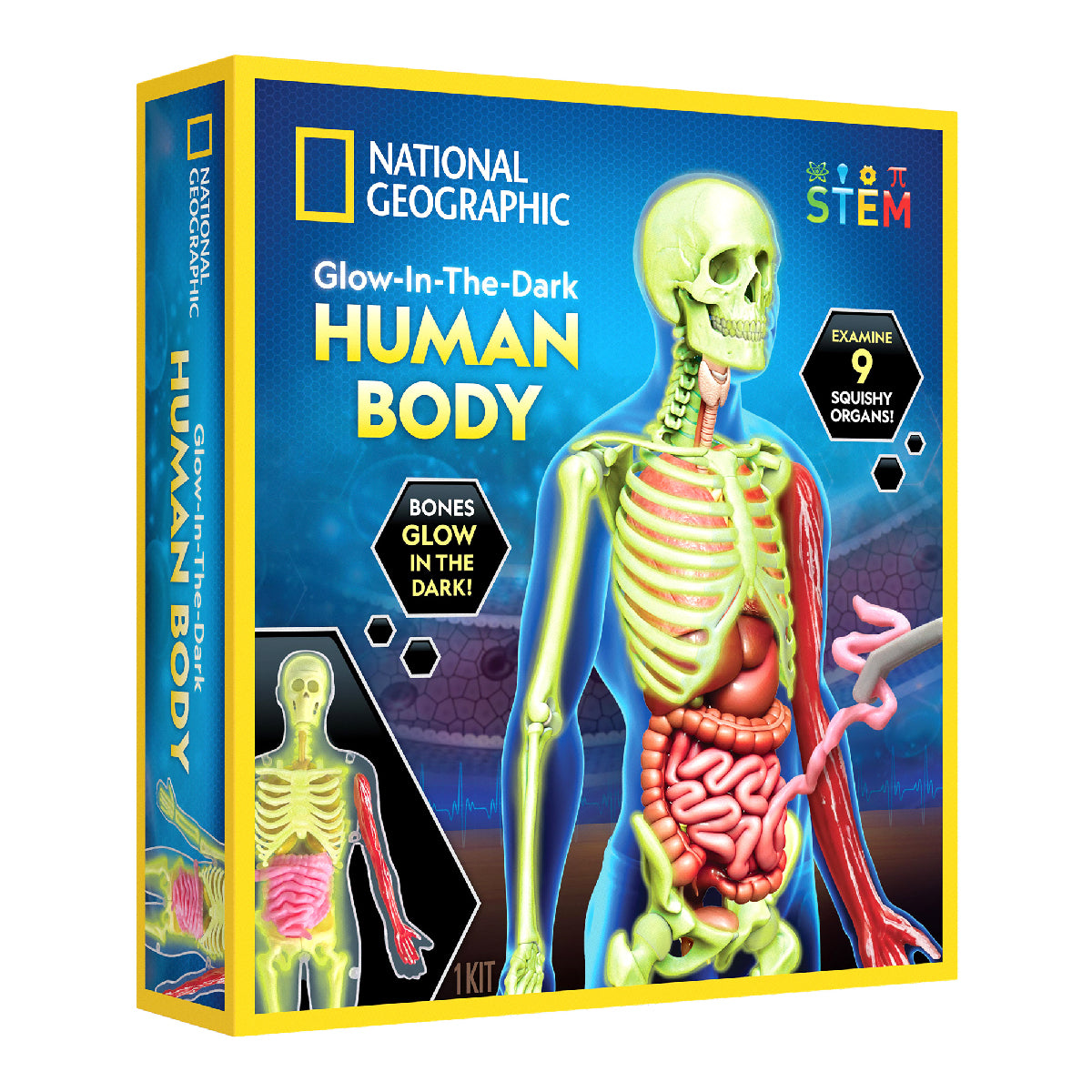 National Geographic 人體模型 科學實驗玩具 發光人體骨骼 STEM 教育玩具 兒童科學學習套裝