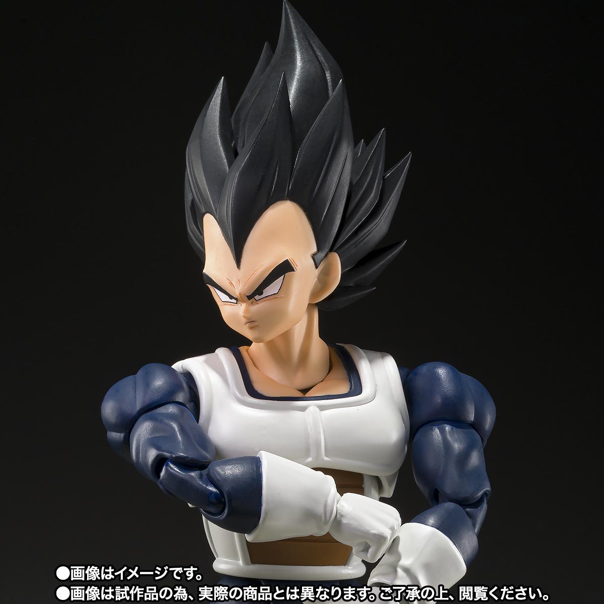 SHF Dragon Ball Z Vegeta Old Battle Armor