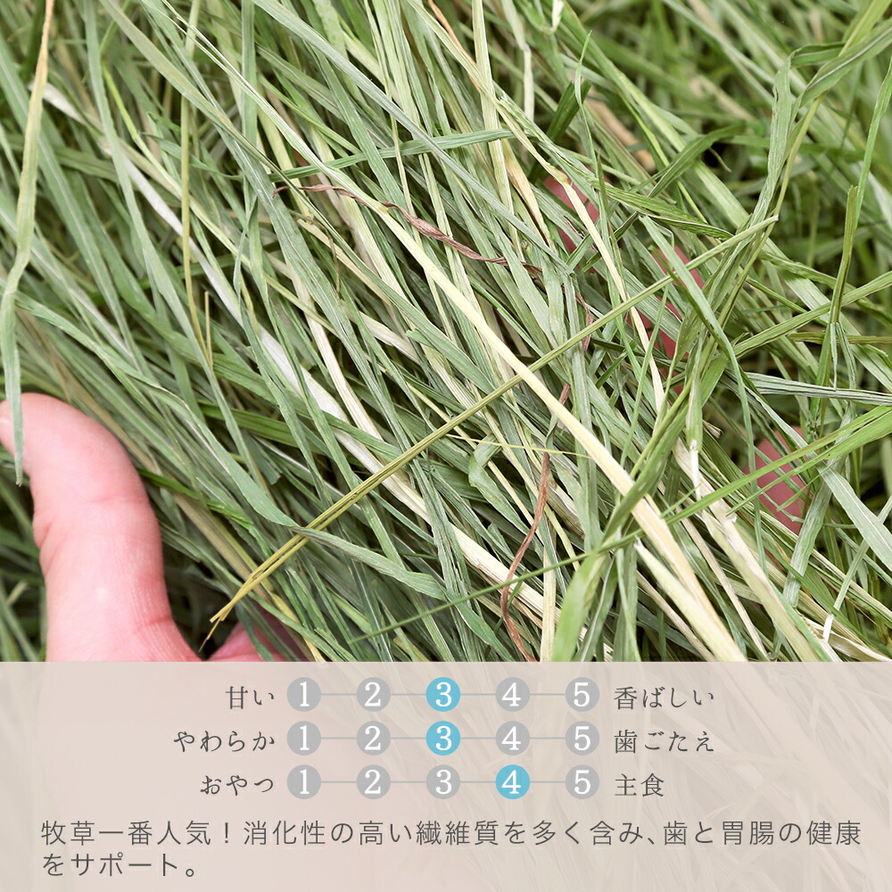 日本Leaf Corp 國產上癮提摩西草100g 