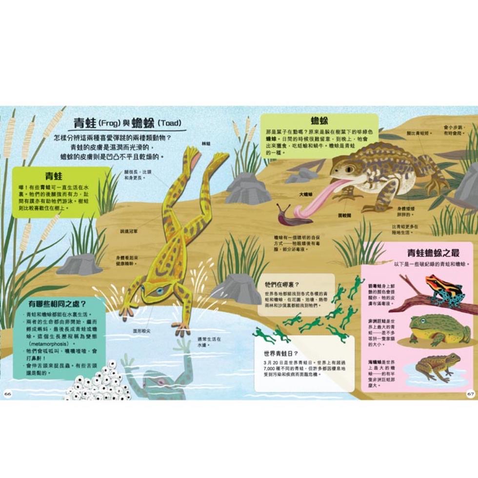 你不知？我知！180組趣味知識速解［新雅•知識館］
