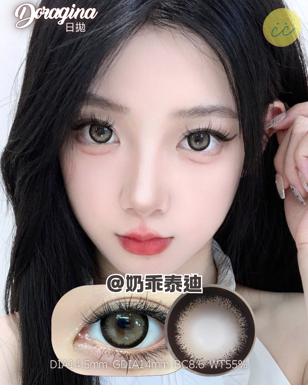 Doragina 日拋 奶乖泰迪