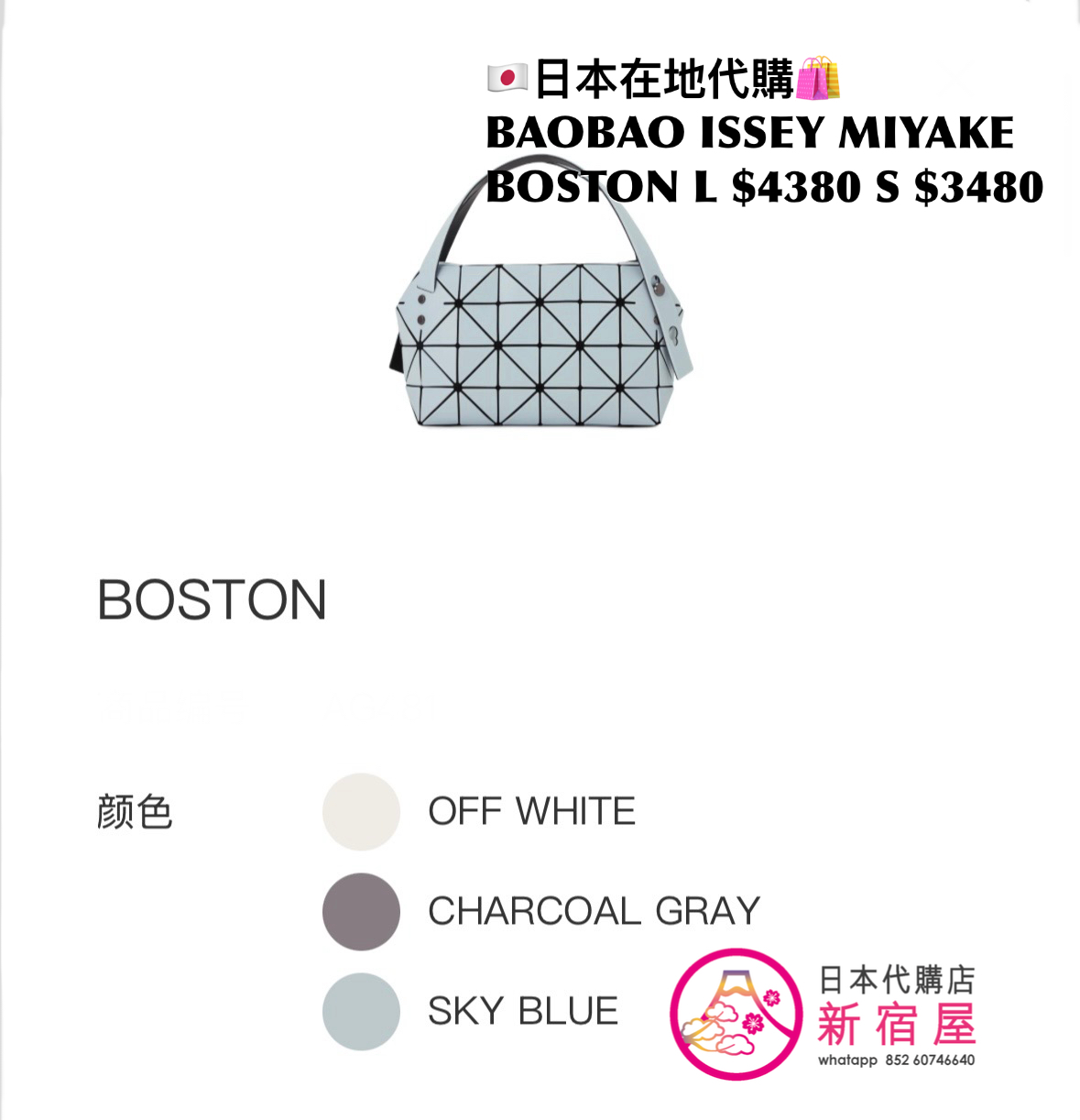 BAOBAO ISSEY MIYAKE BOSTON L/S