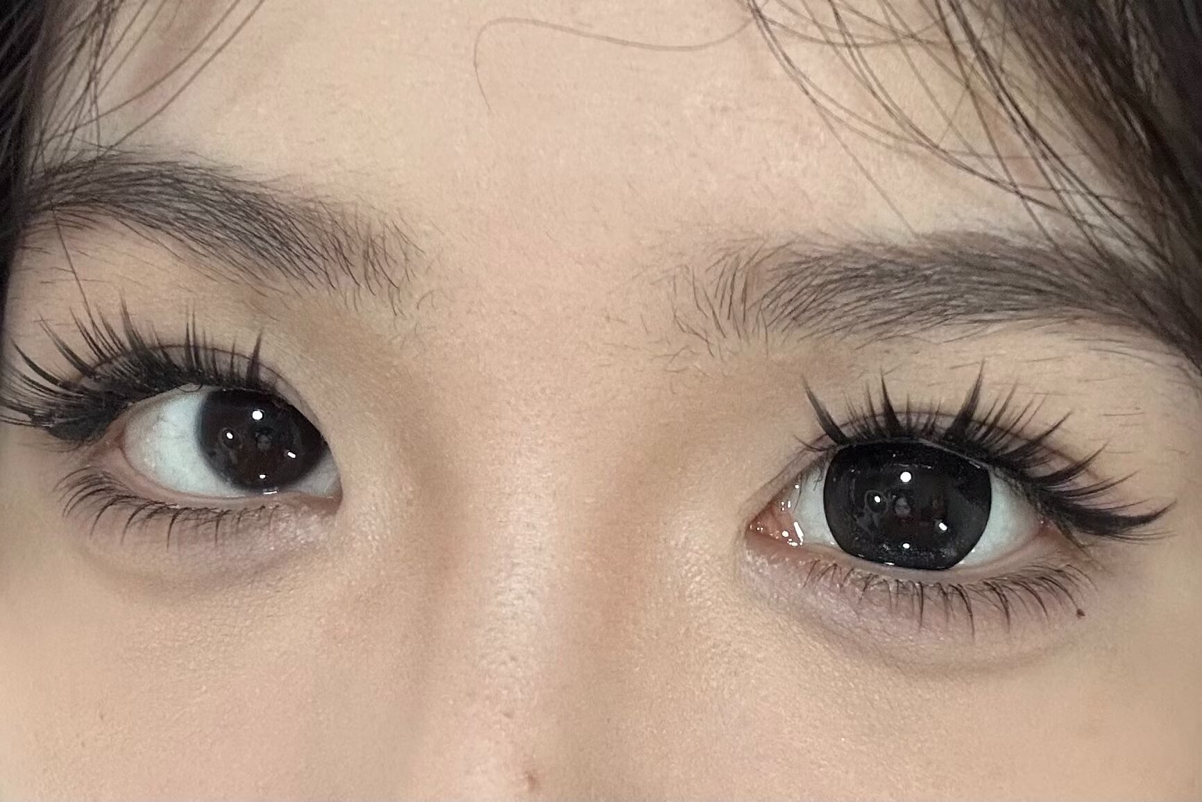 Hancon 日拋 黑曜石