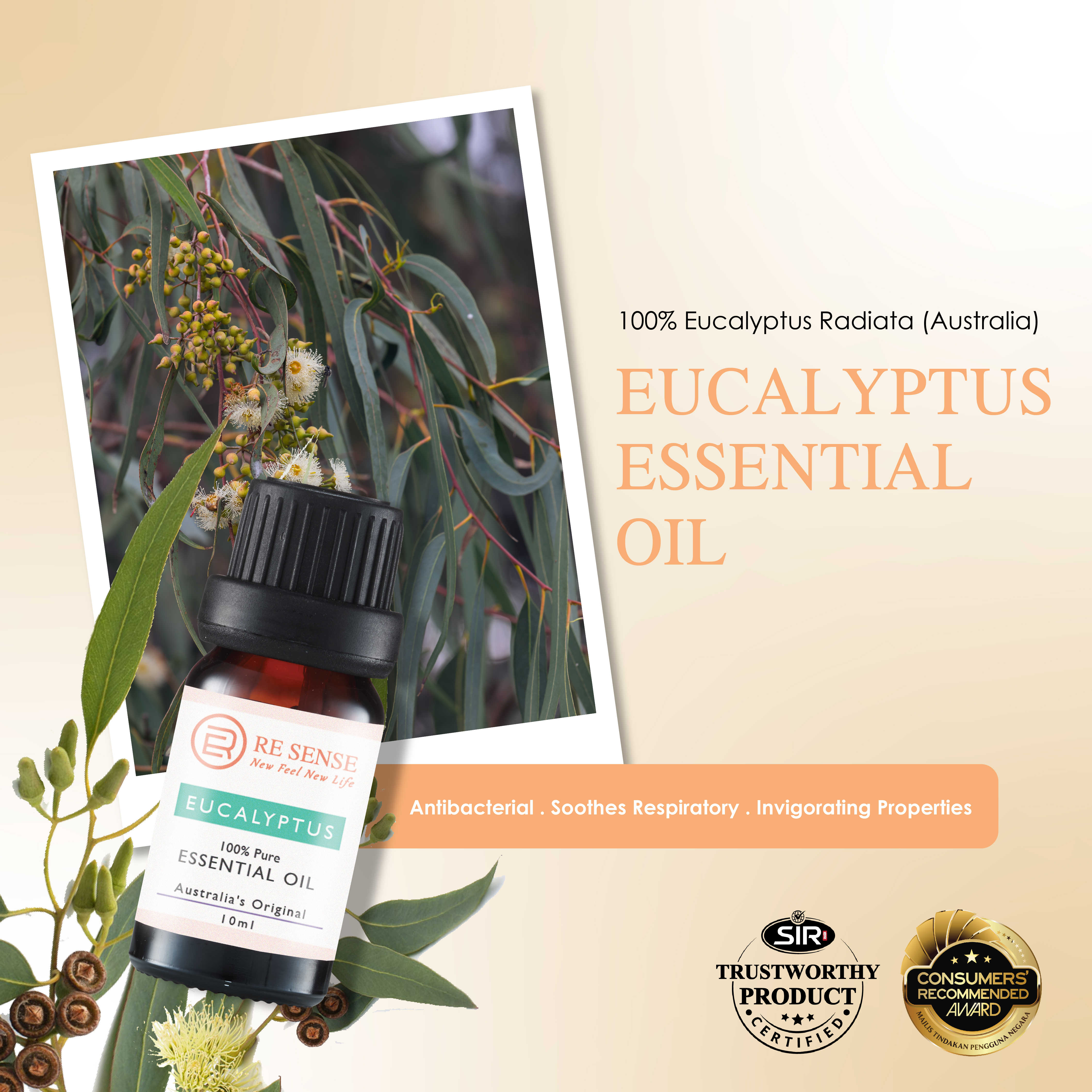Eucalyptus Essential Oil (10ml)