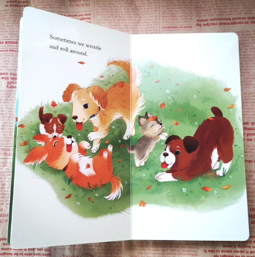 Animal Stories I am a bunny 幼兒啟蒙小動物紙板書｜5 books｜點讀版