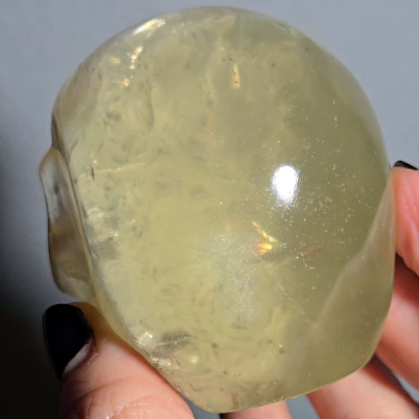 Citrine skull with rainbows and star flash asterism - C66