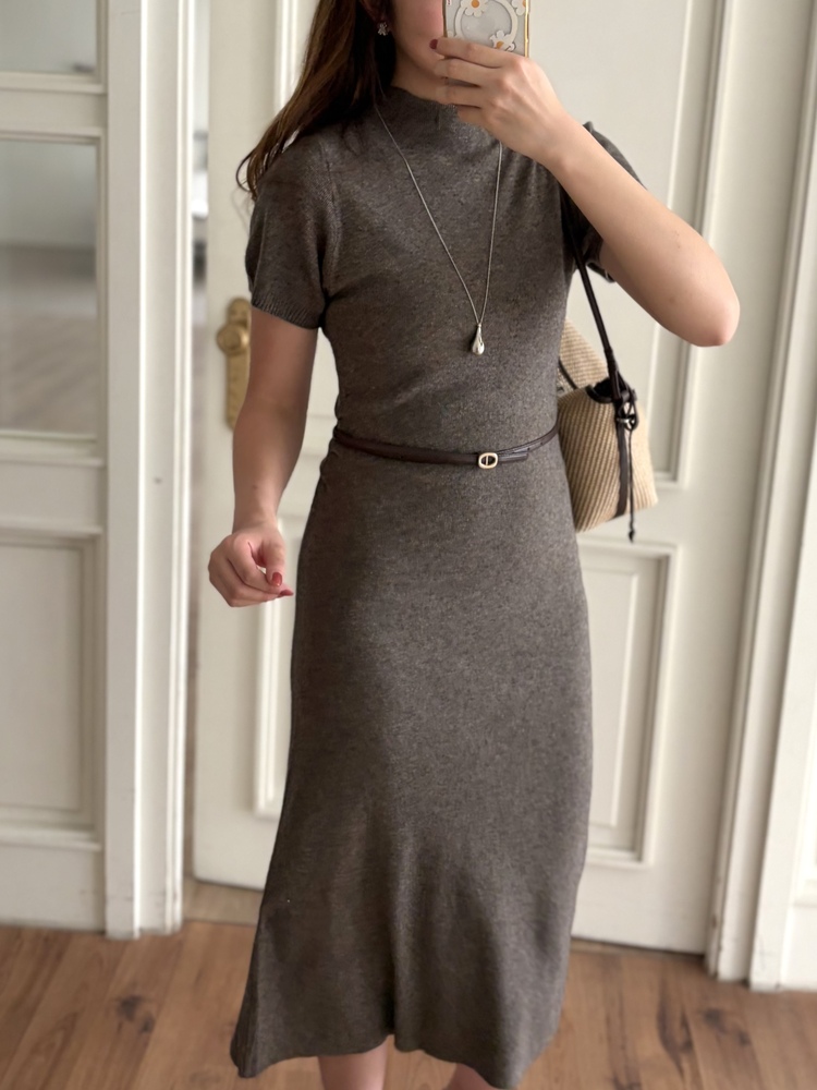 Timeless Belted Knit Dress (Brown)