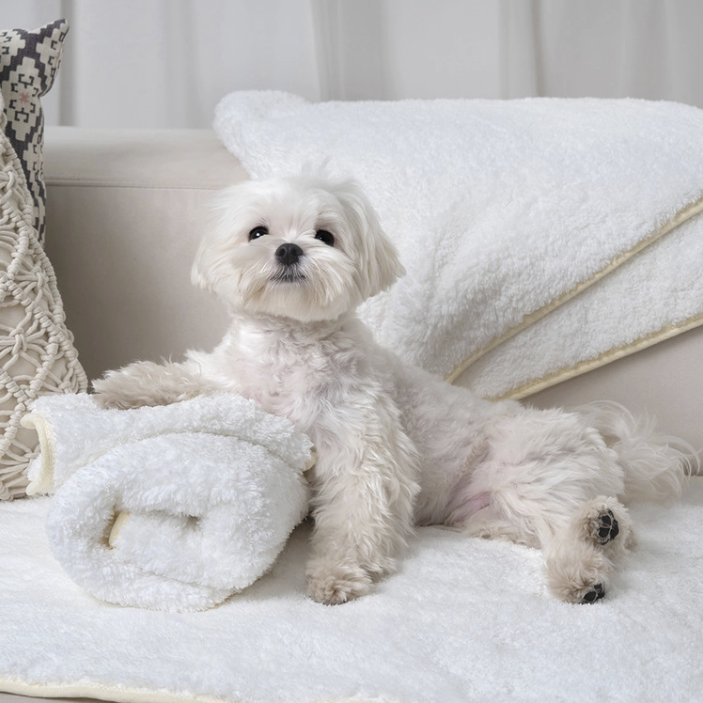 *SuperPet🇰🇷巨無霸寵物吸水毛巾(2件裝）