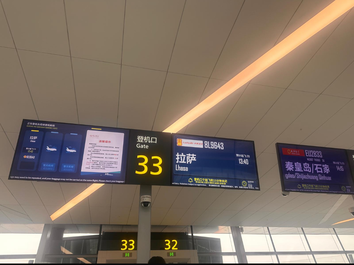 激底一團西藏野生那曲冬蟲草