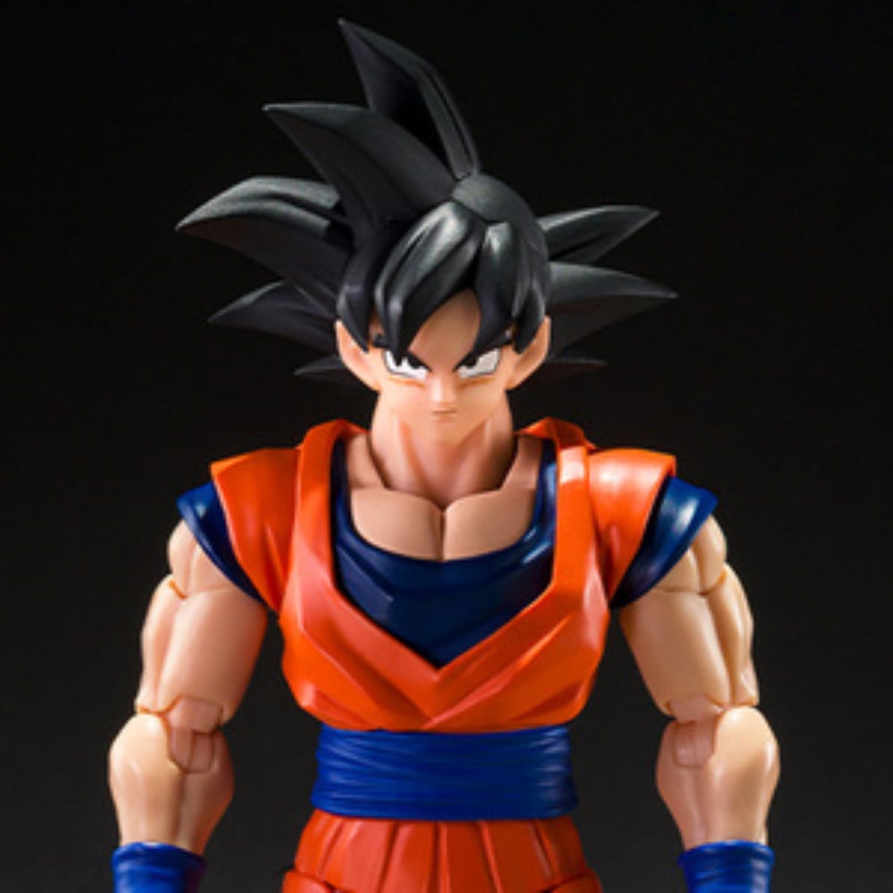 INCOMING SHF Dragon Ball Son Goku A Kind Hearted Saiyan