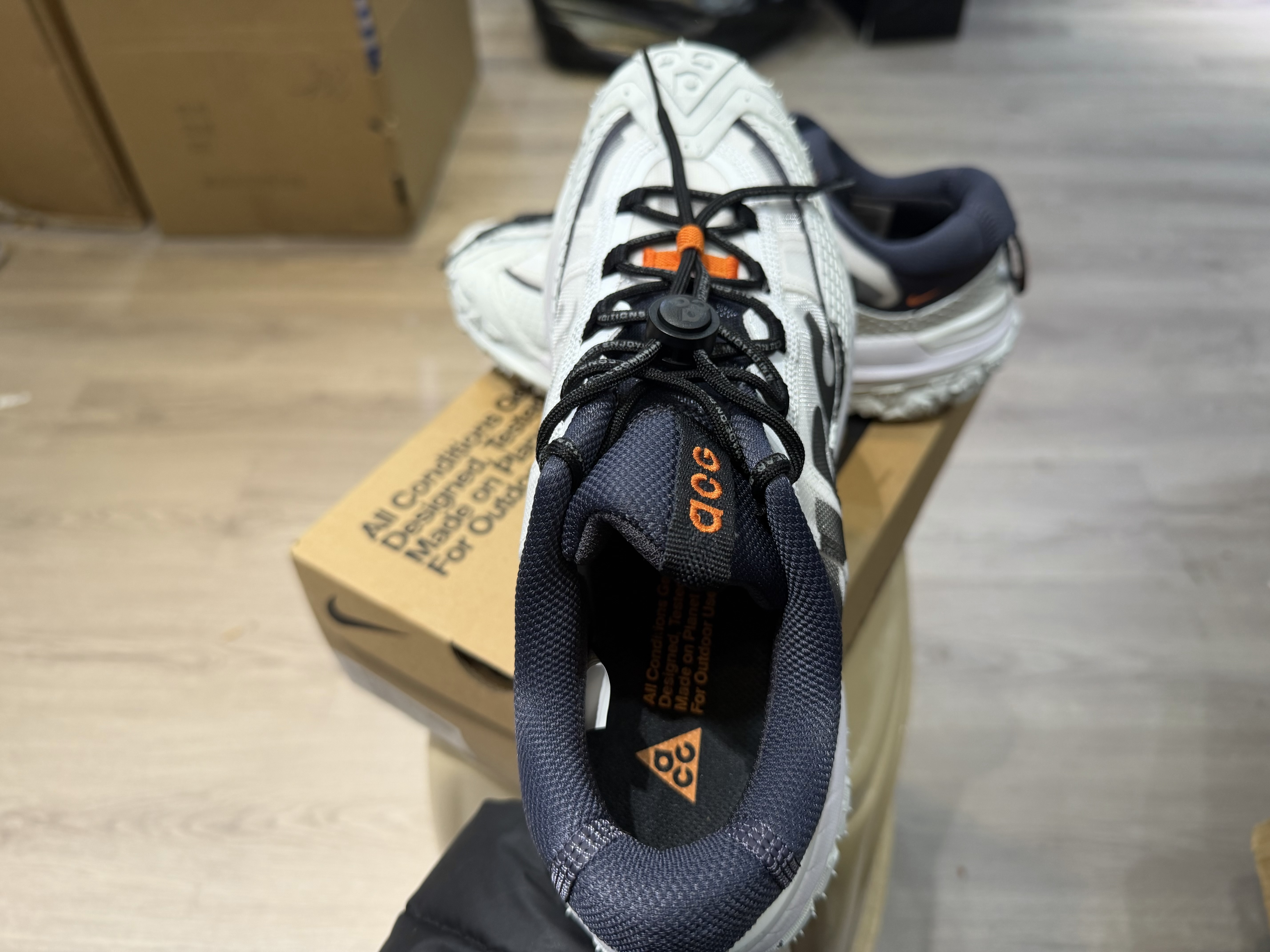 Nike ACG Mountain Fly 2 Low