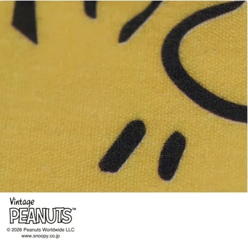 日本🗾直送Woodstock毛巾質地的可水洗小包😍😍 