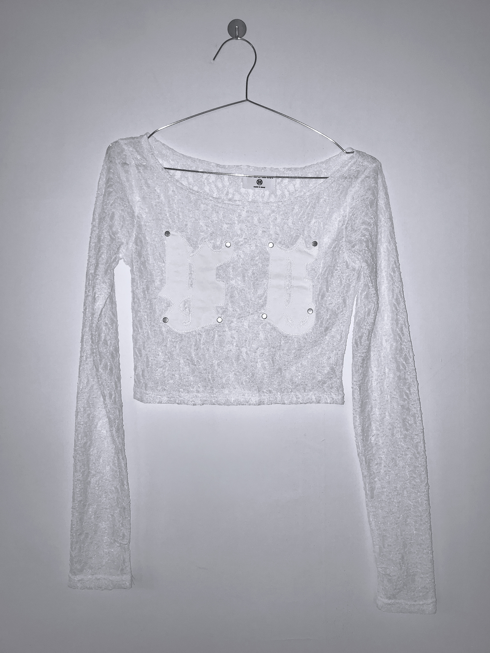 Sheer Lace Round Neck Crop Top