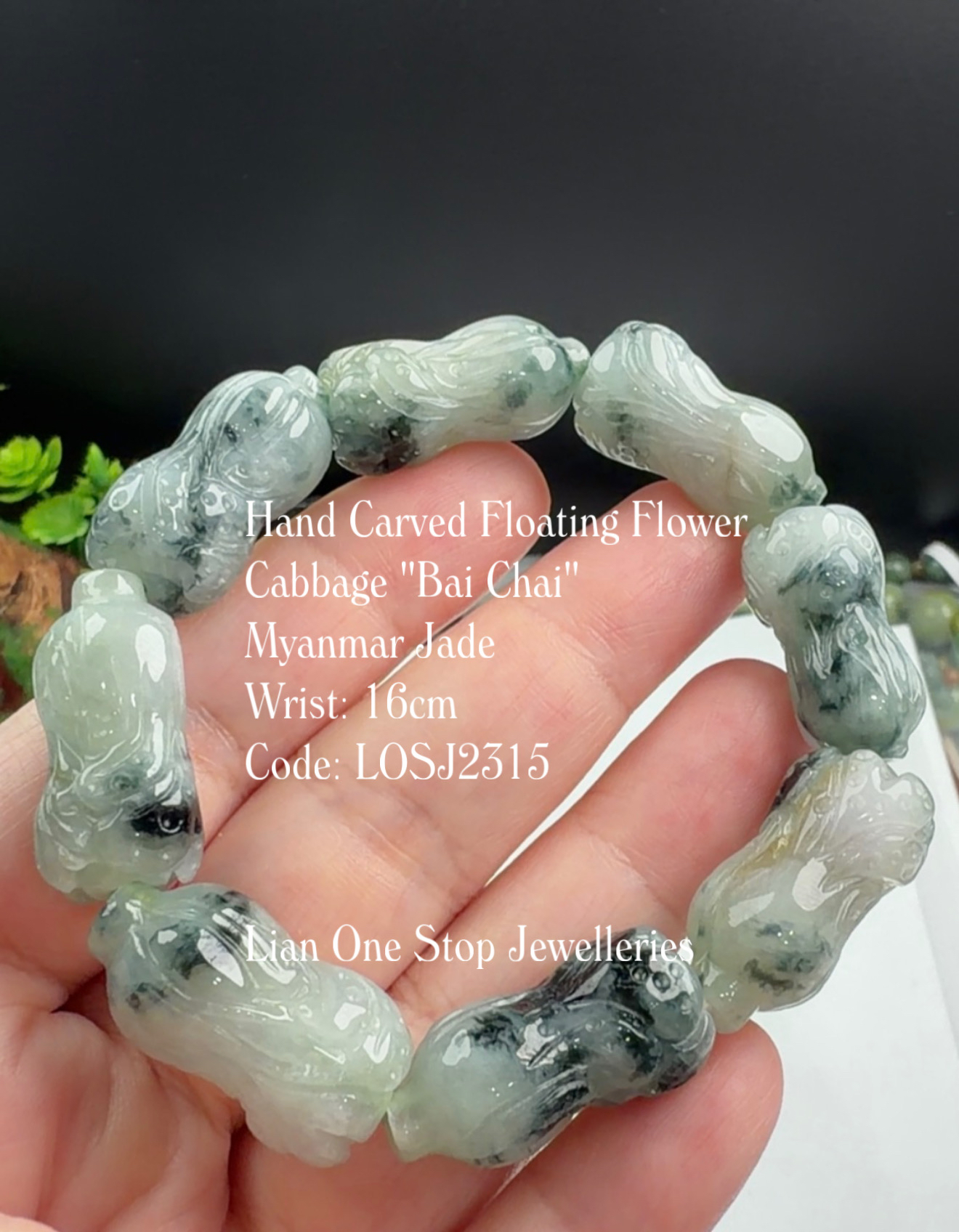 Code: LOSJ2315 Hand Carved Floating Flower Cabbage "Bai Chai"  Myanmar Jade 
