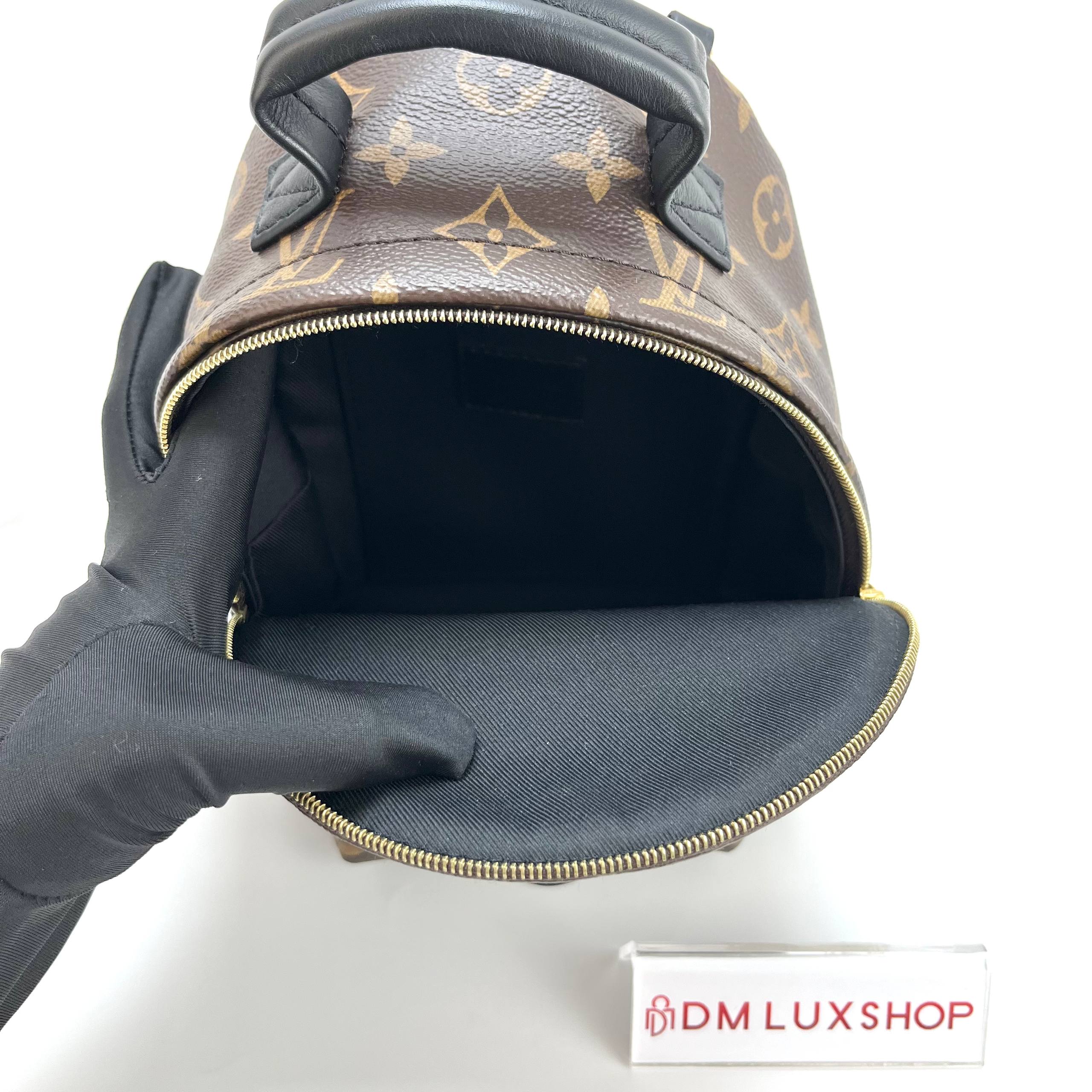 LV Monogram Palm Springs Mini GHW