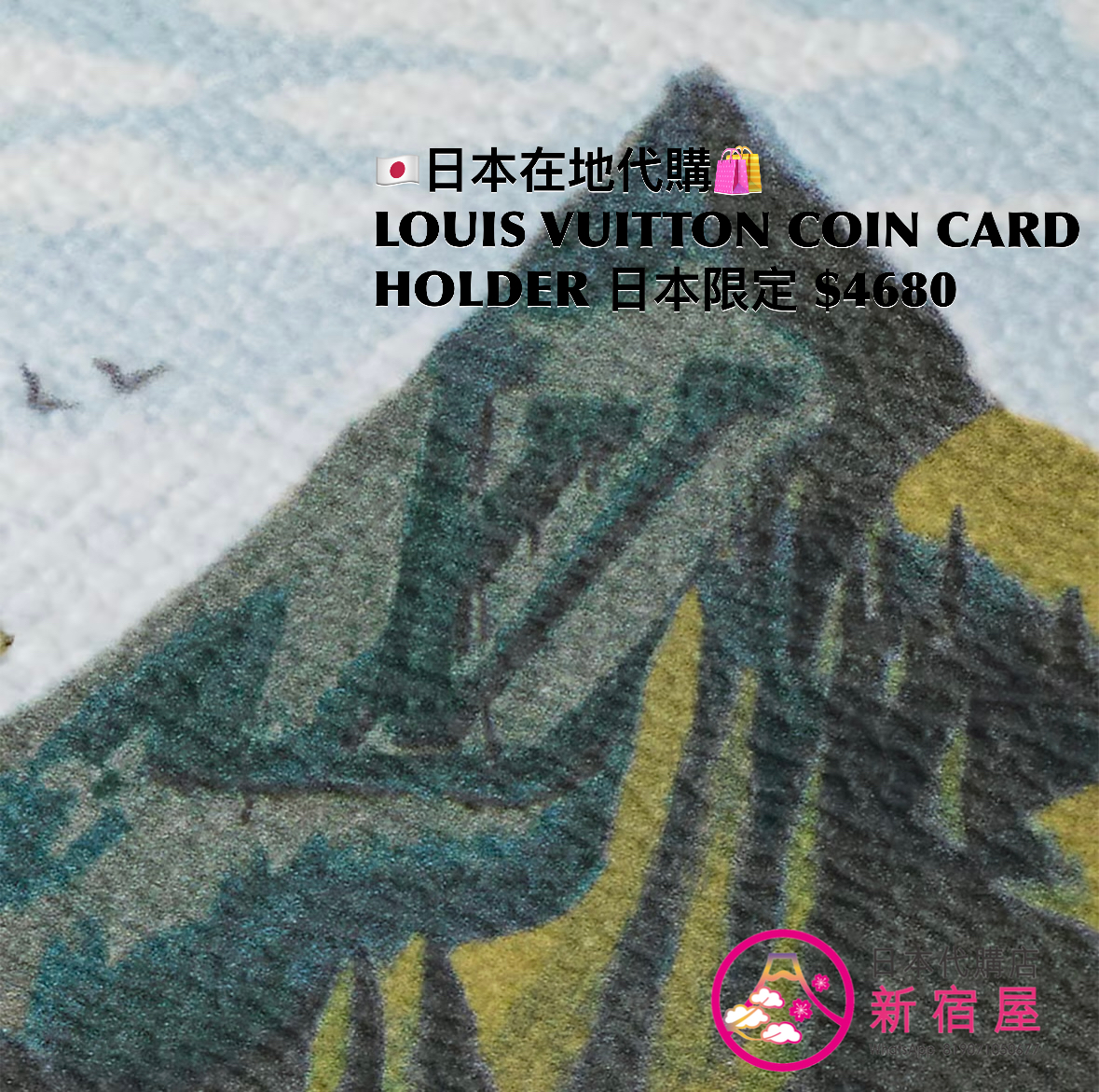 LOUIS VUITTON COIN CARD HOLDER 日本限定