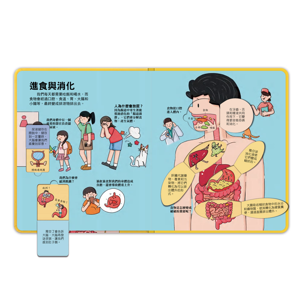 📚預訂 台灣直送📚百問百答圖解翻翻書-揭祕身體
