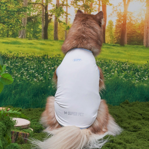 *Super Pet🇰🇷狗狗涼感背心(DG416) 尺碼S-6XL