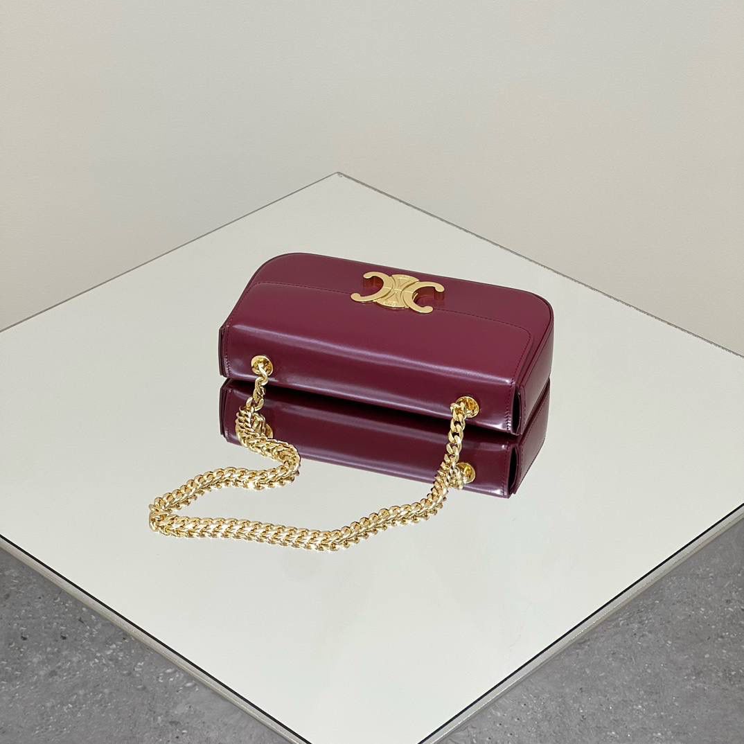 🔥大货实拍图 𝗖𝗘𝗟𝗜𝗡𝗘 ♥ 𝗧𝗥𝗜𝗢𝗠𝗣𝗛𝗘链条腋下包 型号：197993 尺寸：20.5*11.5*4cm