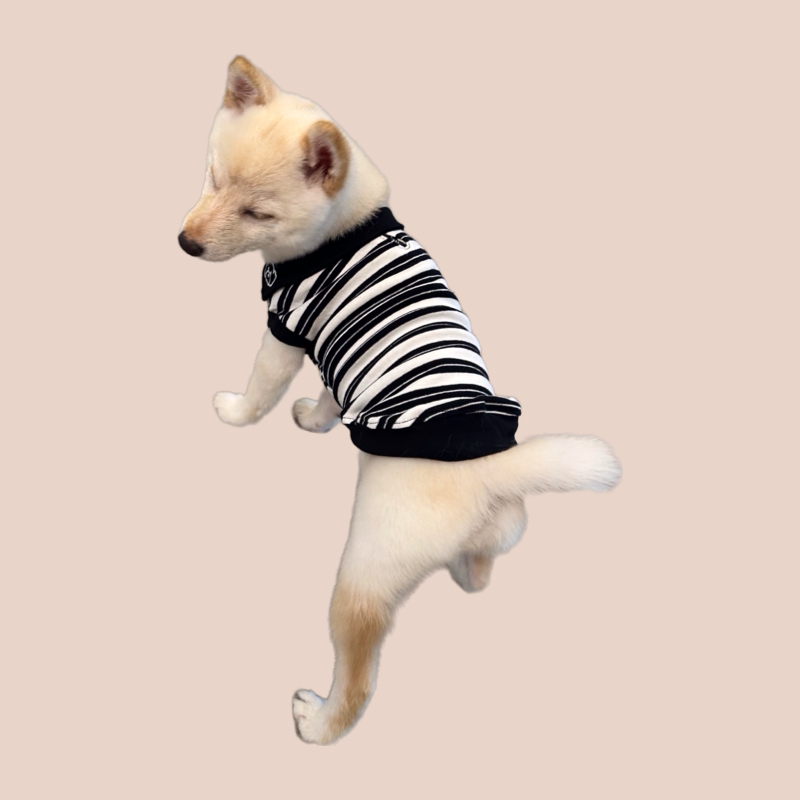 S650   黑白條紋T恤 Black and white striped T-shirt