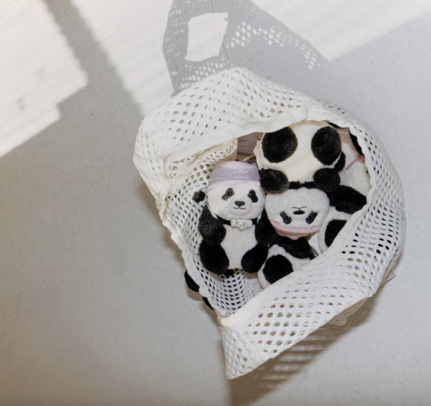 📦訂購 韓國代購 COLLER x Everland Bao Family 寶家族 睿寶輝寶 公仔鎖匙扣 