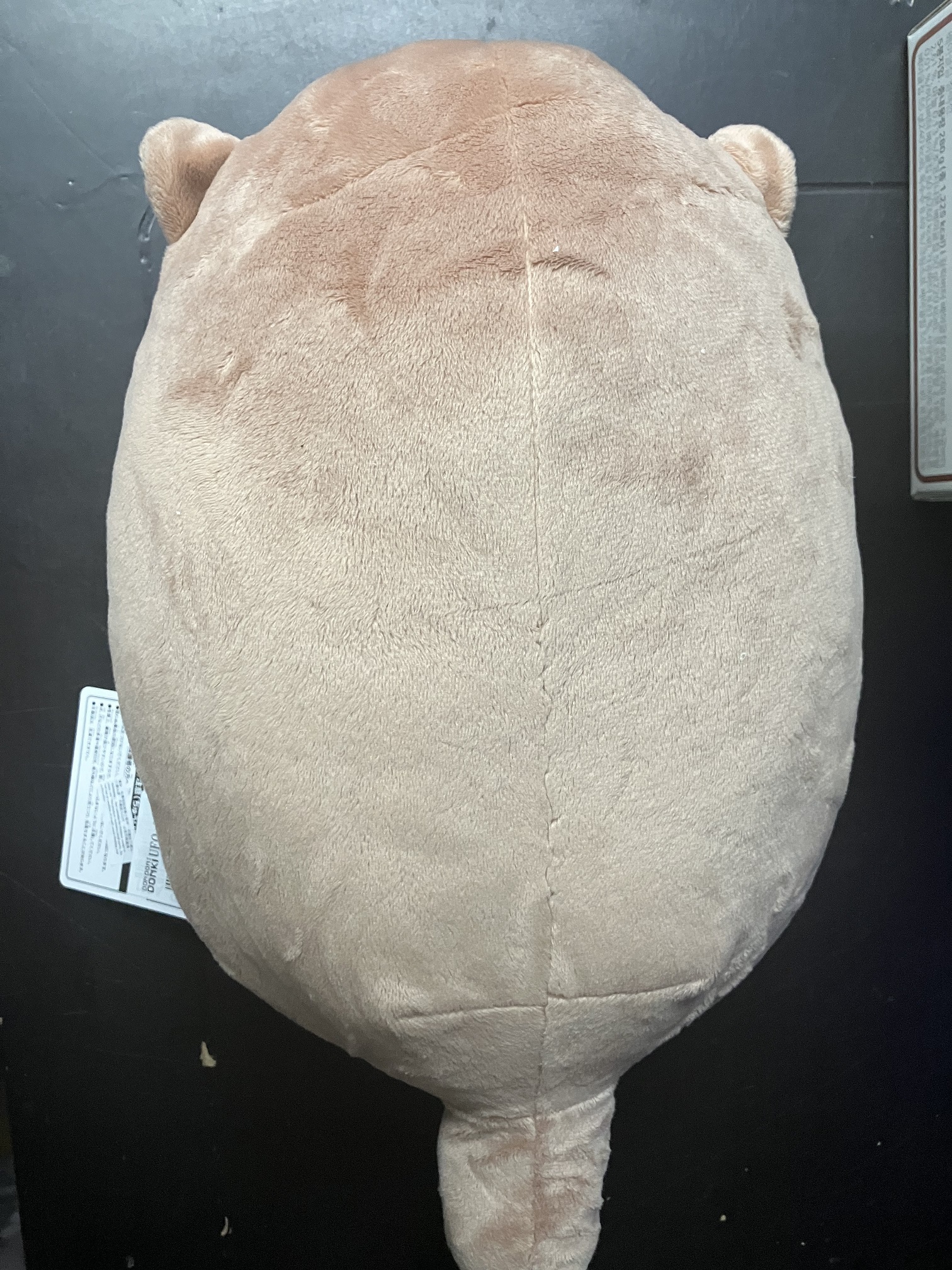 橫溝由里 水獺 絨毛玩具 絨毛公仔 [平行進口] AA06339