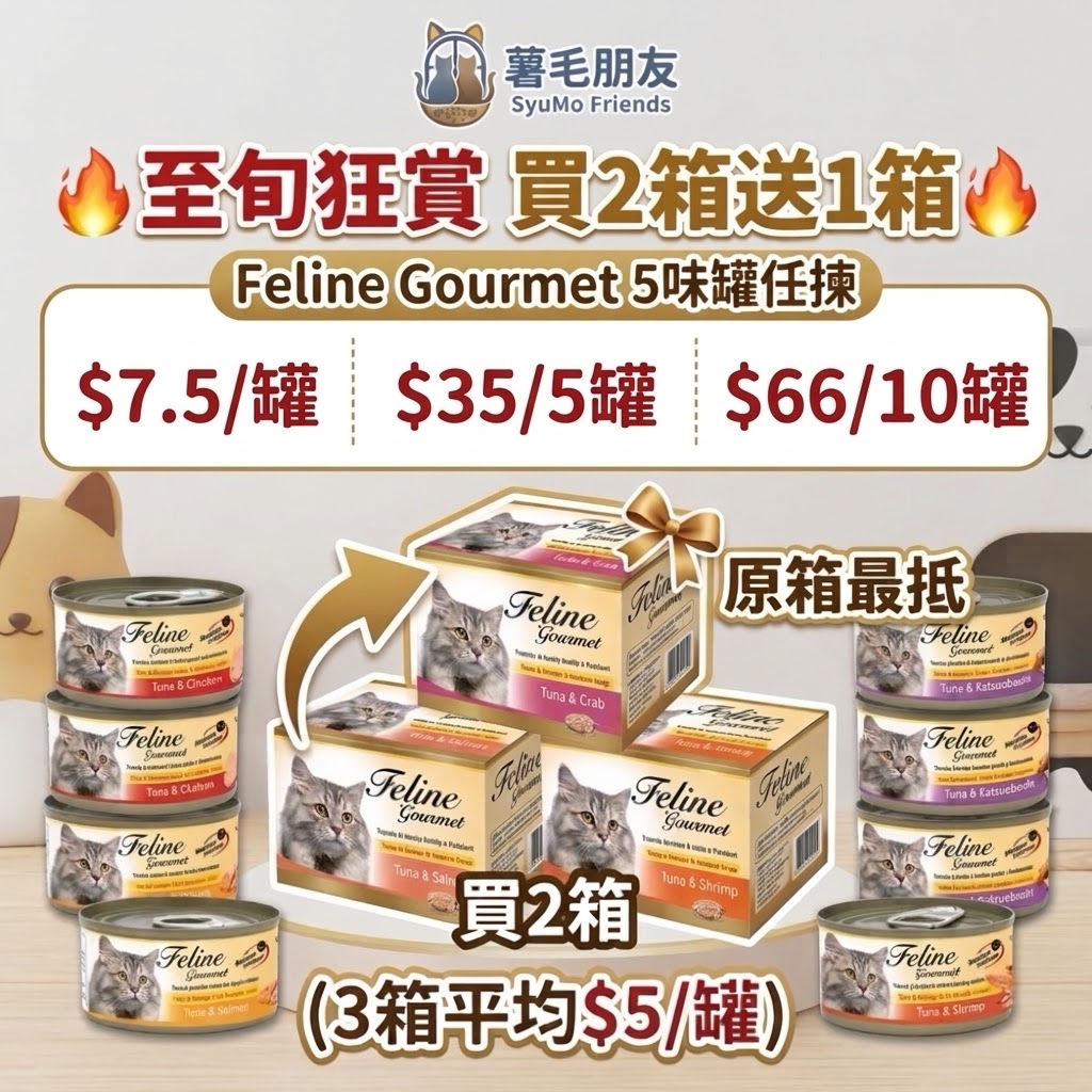 原箱買2送1❗️Feline Gourmet Classic 去毛球 貓罐 80g