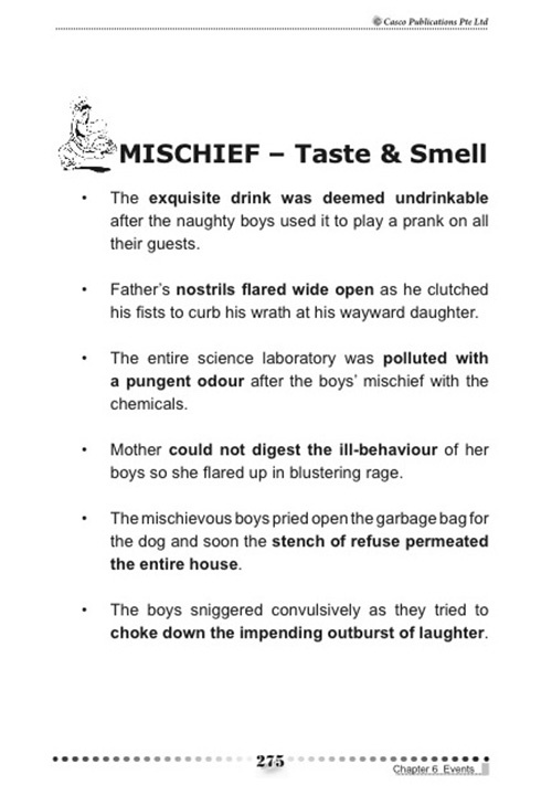 Phrases for Sensational Writing 6